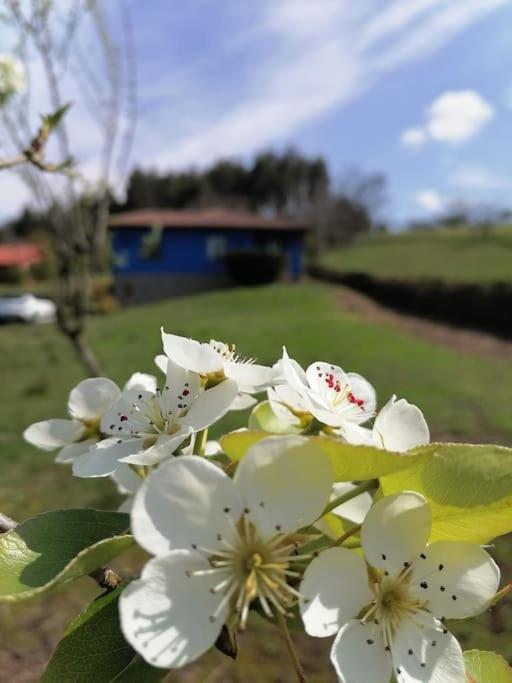 La Casa Azul De Lua Un Lugar Magico Villa Juncedo Exterior foto