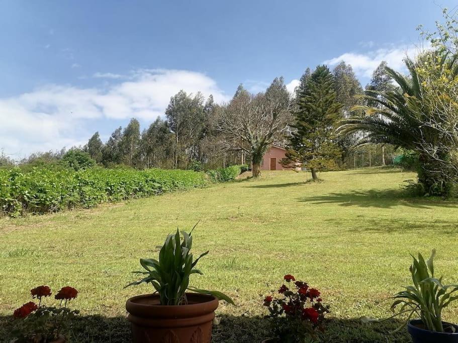 La Casa Azul De Lua Un Lugar Magico Villa Juncedo Exterior foto