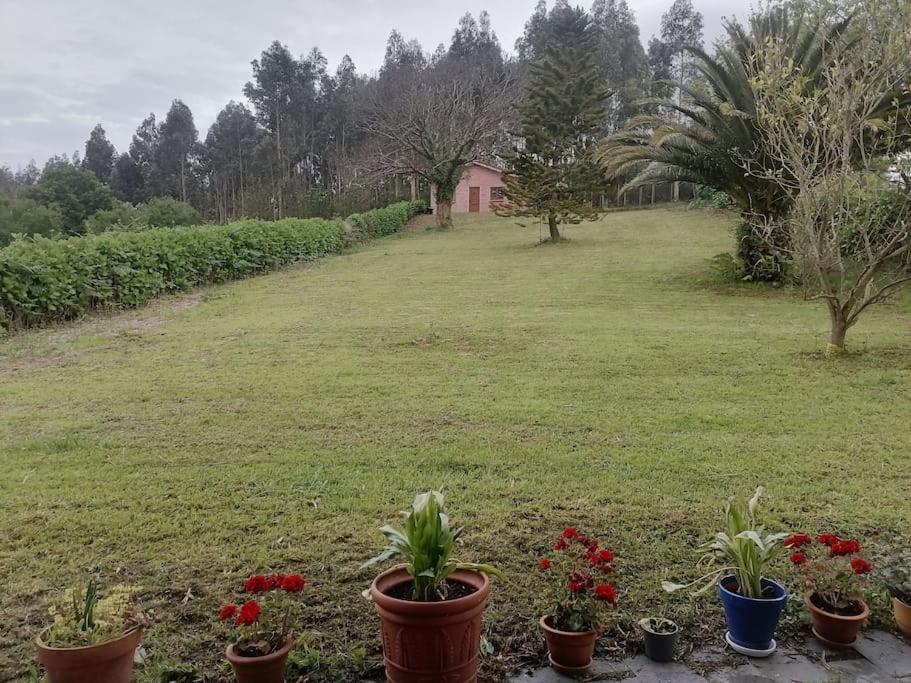 La Casa Azul De Lua Un Lugar Magico Villa Juncedo Exterior foto