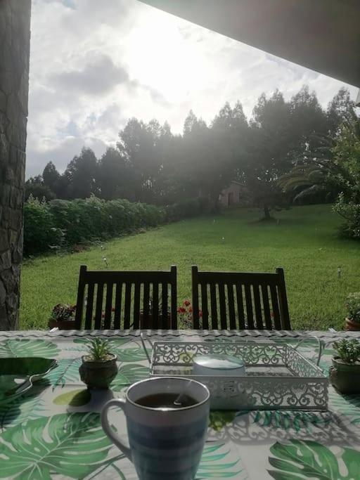 La Casa Azul De Lua Un Lugar Magico Villa Juncedo Exterior foto