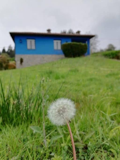 La Casa Azul De Lua Un Lugar Magico Villa Juncedo Exterior foto